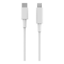 2GO 795848 lightning cable