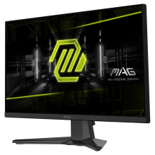 MSI MAG242F kompiuterio monitorius
