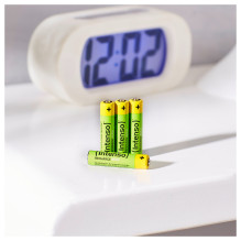 Intenso 7505114 household battery Intenso 7505114 household battery