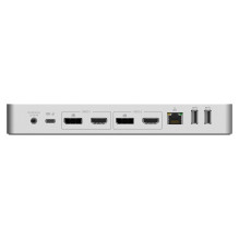 StarTech.com DK30C2DPPDUE laptop dock / port replicator