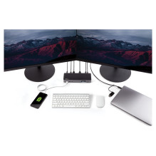 StarTech.com DK30C2DPPDUE laptop dock / port replicator