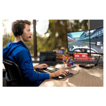 Kensington K97601WW ausinės Kensington K97601WW ausinės