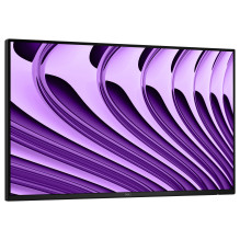 DELL Pro P P2426HEWO...