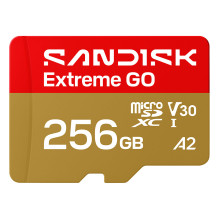 SanDisk Extreme GO