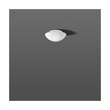 RZB 211005.002 Opal glass light 60W IP43 satin matt D 250mm RZB 211005.002 Opal glass light 60W IP43 satin matt D 250mm