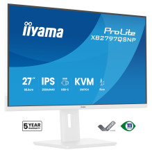 iiyama ProLite...