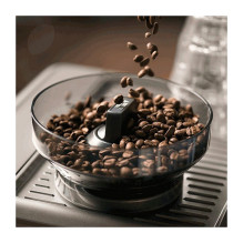 „Salve Barista Touch“