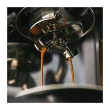 „Salve Barista Touch“