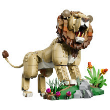 LEGO kūrėjas Wilde Pakopa: Majestätischer Löwe LEGO kūrėjas Wilde Pakopa: Majestätischer Löwe