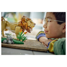 LEGO Creator Wild Animals: Majestic Lion