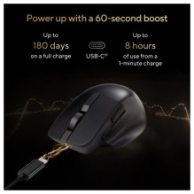 ASUS ProArt MD301 pelė