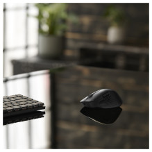 ASUS ProArt MD301 mouse