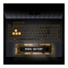 ASUS TUF Gaming F16 FX608JMI-TU290W