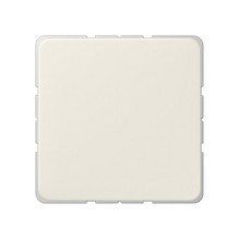 Jung 594-0 ST Blind Cover