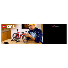 LEGO ICONS 11380 building toy