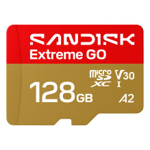 SanDisk Extreme GO