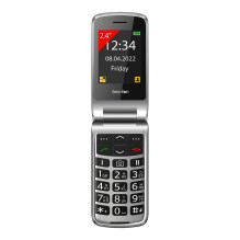 Beafon SL605