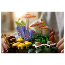 LEGO Botanicals Waldpilze LEGO Botanicals Waldpilze