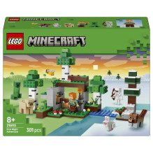 LEGO Minecraft 21593...