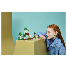 LEGO Minecraft 21593 building toy LEGO Minecraft 21593 building toy