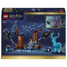 LEGO Haris Poteris Verbotener Wald: Expecto Patronum