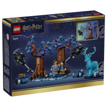 LEGO Haris Poteris Verbotener Wald: Expecto Patronum