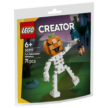 LEGO Creator 30717 konstravimo žaislas LEGO Creator 30717 konstravimo žaislas