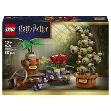 LEGO Harry Potter Hogwarts...