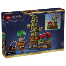 LEGO Hario Poterio pilis Hogvartse: Kräuterkunde-Pflanzen LEGO Hario Poterio pilis Hogvartse: Kräuterkunde-Pflanzen