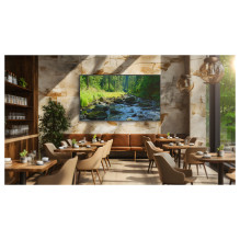 98 colių „Sony BRAVIA FW-98BZ53L“ 4K viso masyvo LED ekranas su HDMI, USB, HDR ir „AirPlay“, „Chromecast“.