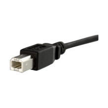 StarTech 3 ft Panel Mount USB Cable B to B - F / M