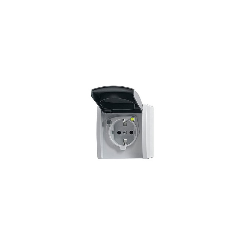 Busch-Jaeger 3120 EWB-53 socket-outlet