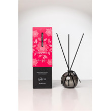 Home fragrance Odoro MOOD...