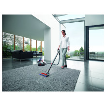 Dyson Big ball Parquet 2 Dyson Big ball Parquet 2