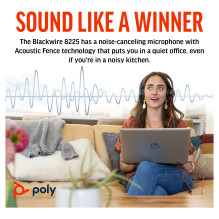 HP Poly Blackwire 8225 Stereo USB-C Headset +USB-C / A Adapter