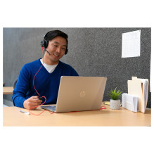 HP Poly Blackwire 8225 stereo USB-C ausinės + USB-C / A adapteris