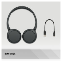 Sony WH-CH520