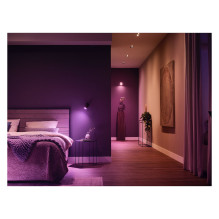 Philips by Signify Hue White and colour ambience 8720169229877 smart lighting