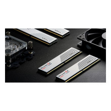 G.Skill Ripjaws S5 / F5-6000J3040F16GX2-RS5W memory module