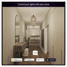 Philips Hue Essential WCA 806 A60 E27 1P EU