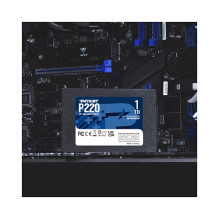 Patriot Memory P220 1TB