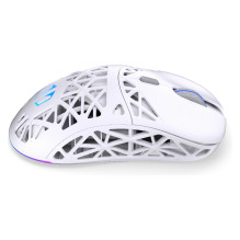 ENDORFY LIV Plus Wireless onyx white