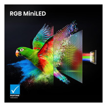 164,0 cm / 65" (3840 x 2160) „Hisense 65UR9DS“ išmanusis televizorius 4K RGB „MiniLED“ 6 ms 170 Hz HDMI USB-C LAN H