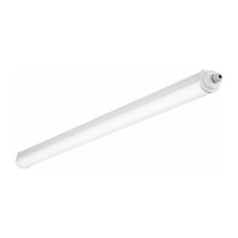Trilux 2315 G4 1500 55 / 38 / ML-8MC ET PC +LV LED surface-mounted luminaire for damp rooms and above ground