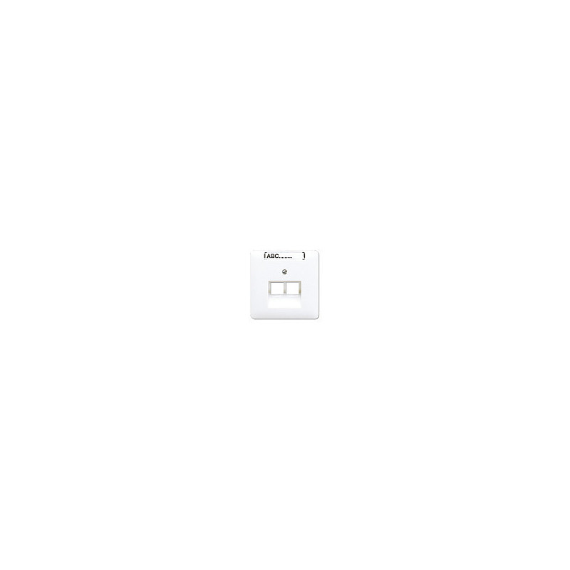 Jung CD 569-2 NAUA WW cover for two IAE / UAE sockets