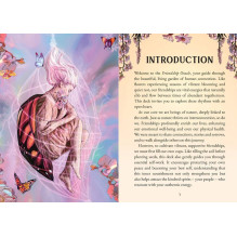 Friendship Oracle kortos Rockpool Publishing Friendship Oracle kortos Rockpool Publishing