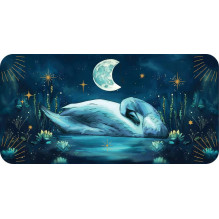 Sleeping Spirits kortos Rockpool Publishing