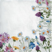 Paper napkins PAW, 20 pcs.