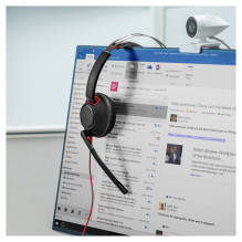 HP Poly Blackwire 5220 stereo USB-C ausinės + 3,5 mm kištukas + USB-C / A adapteris (didmeninė prekyba)