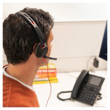 HP Poly Blackwire 5220 stereo USB-C ausinės + 3,5 mm kištukas + USB-C / A adapteris (didmeninė prekyba)